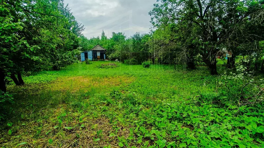 Участок в Московская область, Сергиево-Посадский городской округ, д. ... - Фото 1