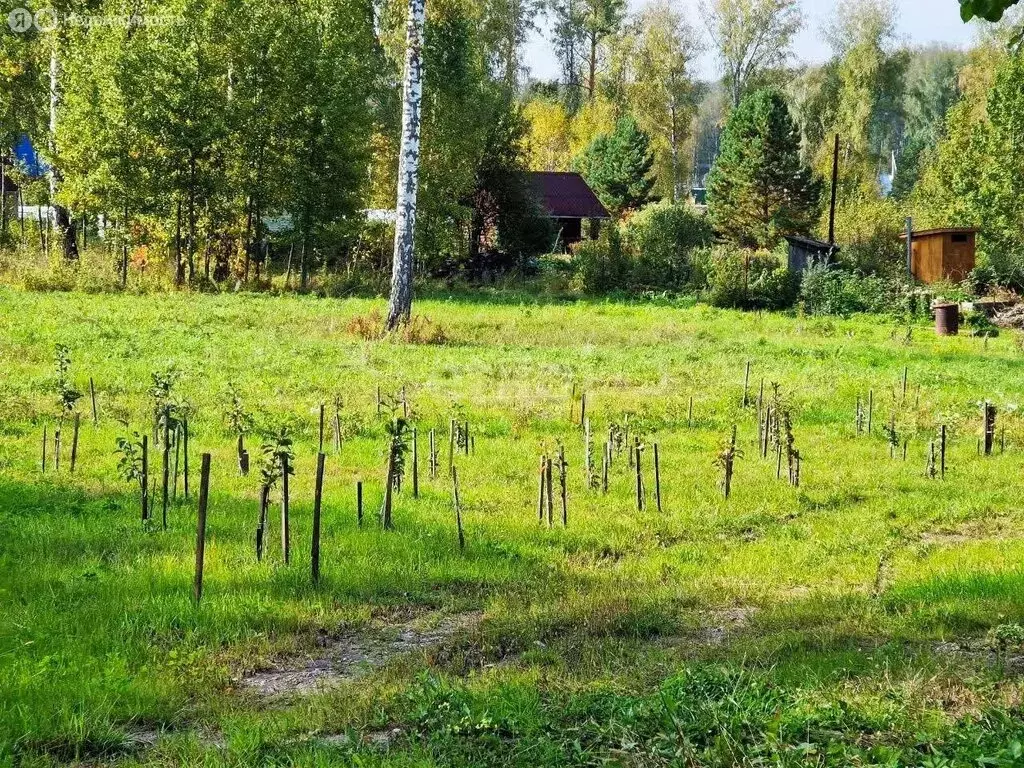 Дом в Барышевский сельсовет, садоводческое некоммерческое товарищество ... - Фото 1