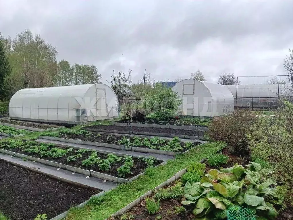Участок в Белгородская область, Яковлевский муниципальный округ, с. ... - Фото 2