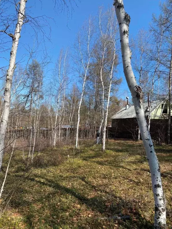 Участок в Саха (Якутия), Якутск городской округ, с. Маган  (6.0 сот.) - Фото 1