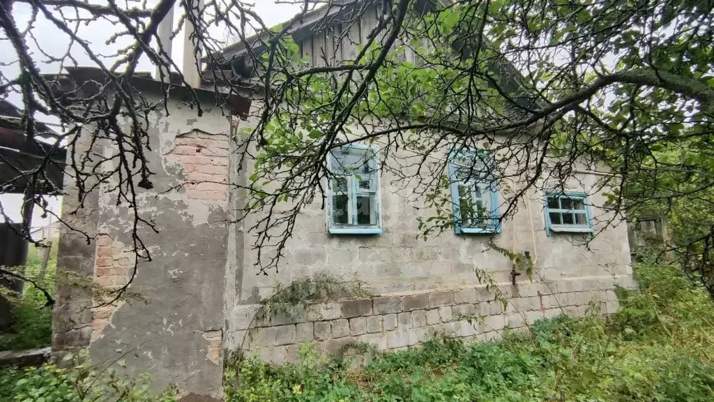 Дом в Белгородская область, Красногвардейский район, Марьевское с/пос, ... - Фото 0