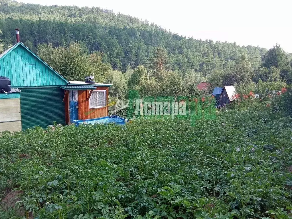 Дом в Забайкальский край, Читинский район, № 54 Радуга СНТ  (30 м) - Фото 1