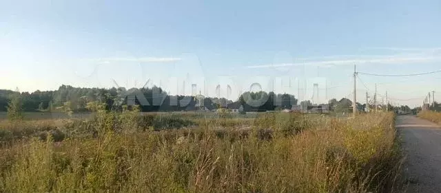 Участок 12 сот. (ИЖС) - Фото 0