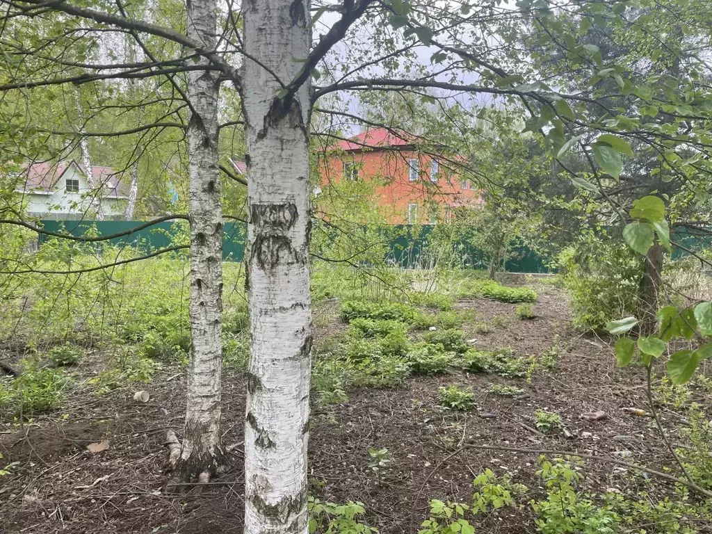 Участок в Московская область, Раменский муниципальный округ, Быково ... - Фото 2