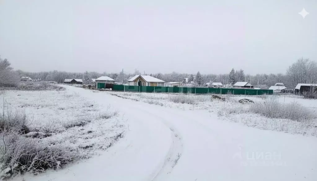 Участок в Калужская область, Боровский муниципальный округ, Кривское ... - Фото 1