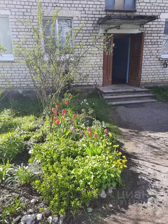 1-к кв. Псковская область, Псков Лужская ул., 24 (36.0 м) - Фото 2