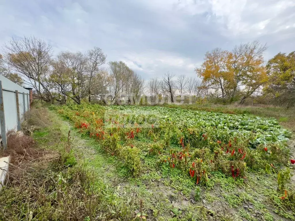 Участок в Краснодарский край, Анапа муниципальный округ, Гостагаевская ... - Фото 1