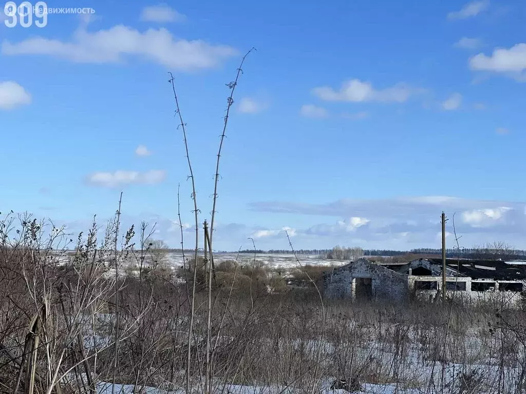 Участок в Хотынецкий район, село Красные Рябинки (669.76996 м) - Фото 2