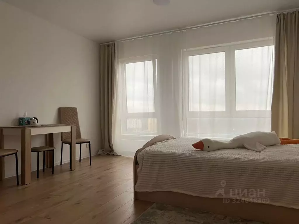 Студия Ленинградская область, Всеволожский район, д. Новое Девяткино ... - Фото 1