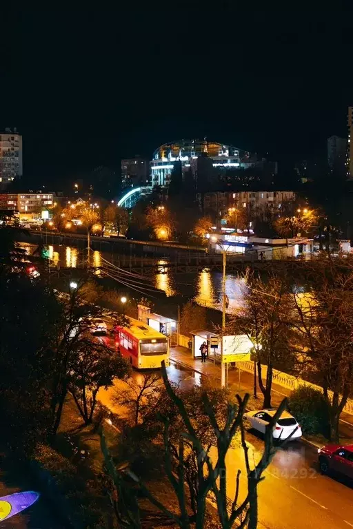 1-к кв. Краснодарский край, Сочи ул. Конституции СССР, 32 (34.0 м) - Фото 2