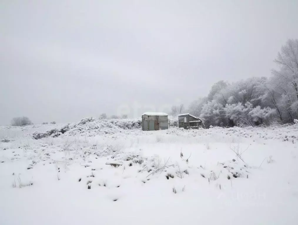 Участок в Ярославская область, Ярославский муниципальный округ, д. ... - Фото 2