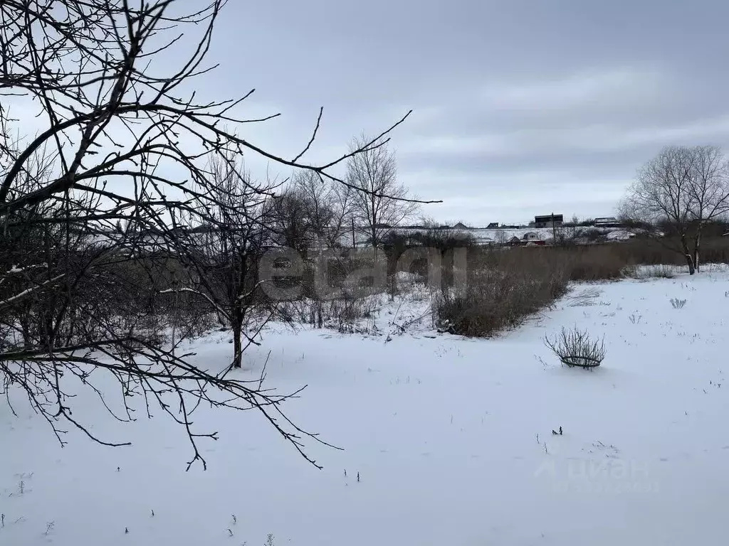 Участок в Воронежская область, Поворинский район, с. Рождественское ... - Фото 1