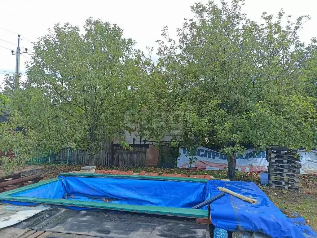 Дом в Саратов, СНТ Труженик, 27 (60 м) - Фото 1