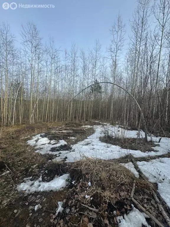 Участок в Иркутск, Октябрьский округ (15 м) - Фото 1