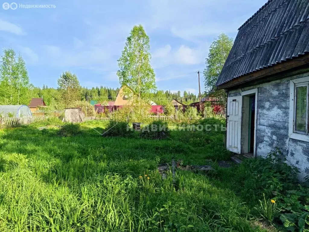 Участок в Междуреченск, дачный посёлок Брусничка, 132 (8 м) - Фото 0