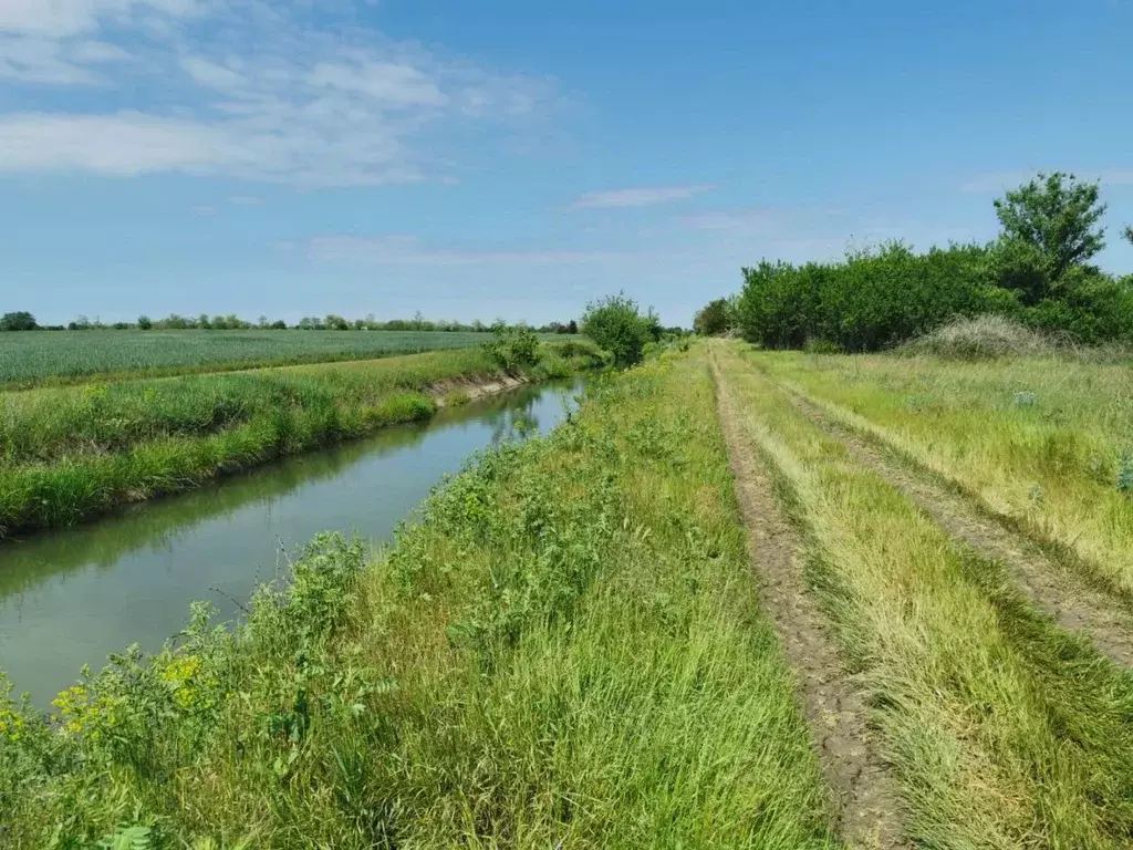 Участок в Ростовская область, Азовский район, Новоалександровское ... - Фото 0