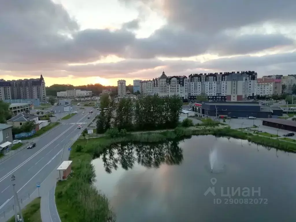 1-к кв. Калининградская область, Зеленоградск ул. Тургенева, 12А (47.0 ... - Фото 2