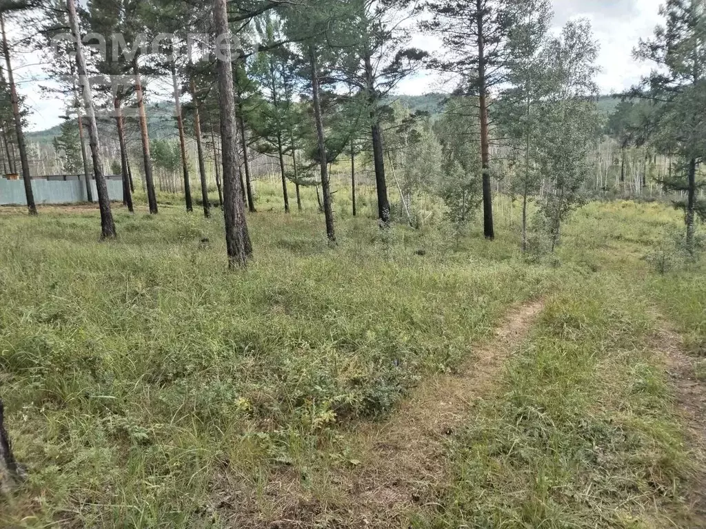 Участок в Забайкальский край, Читинский район, Песчанские Лужки СНТ  ... - Фото 0