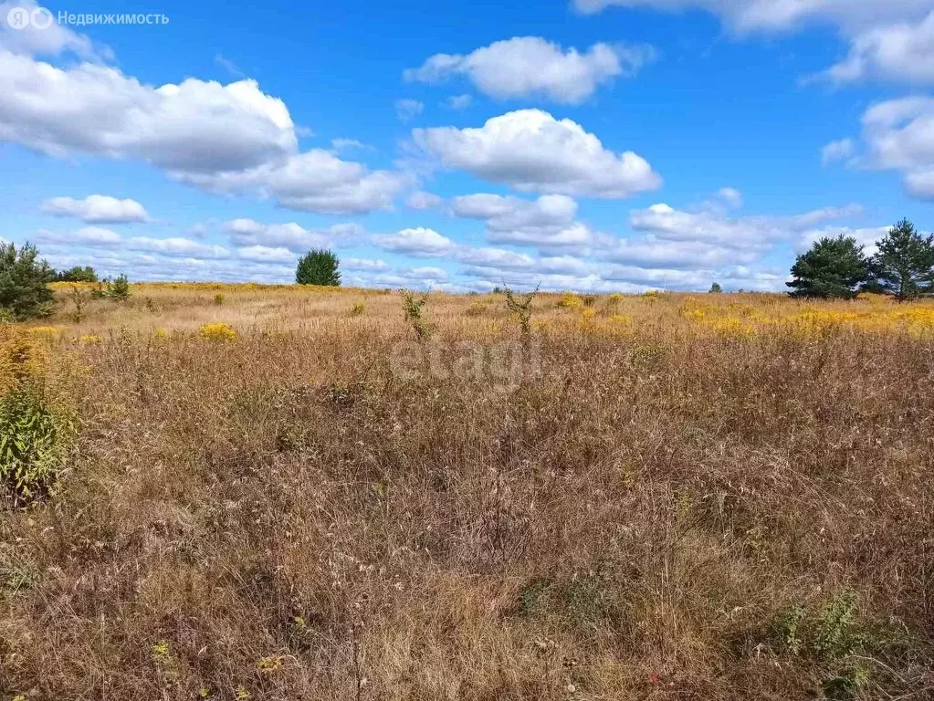 Участок в деревня Тешеничи, садово-дачное товарищество Радуга-1 (15 м) - Фото 0