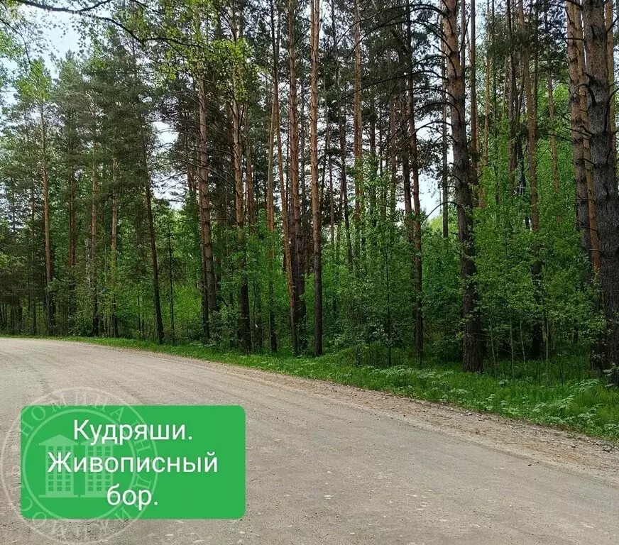 Участок в Новосибирский район, Кудряшовский сельсовет, поселок ... - Фото 0
