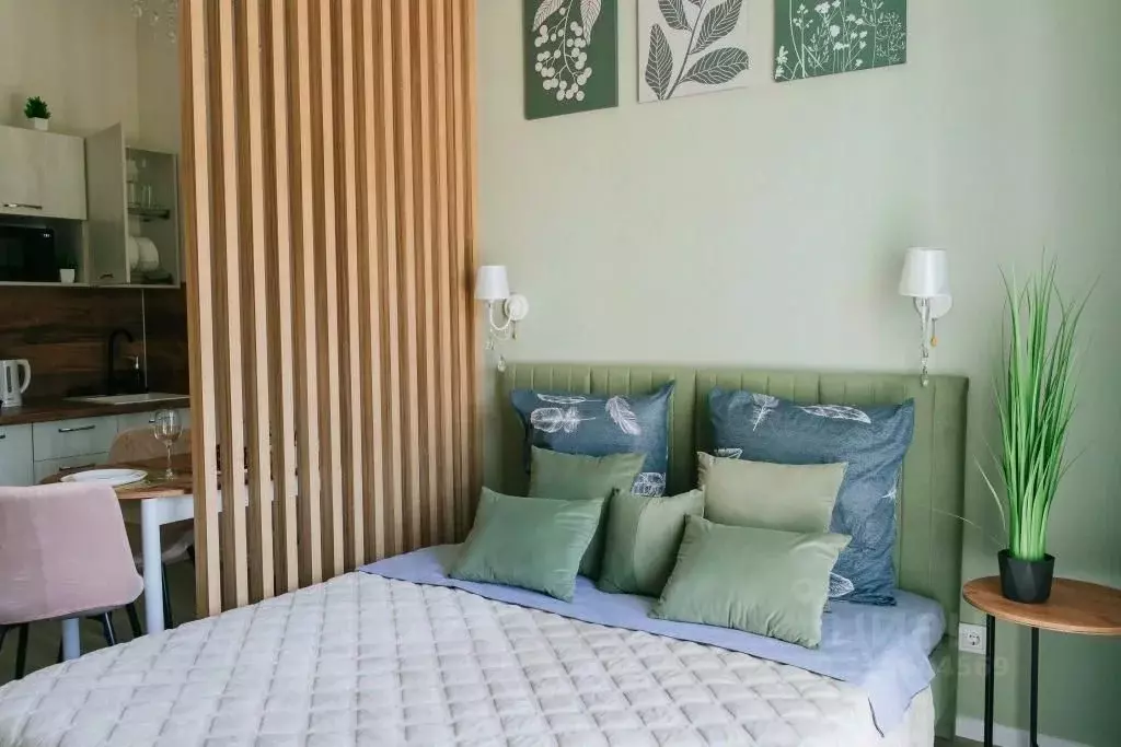 1-к кв. Краснодарский край, Сочи ул. Искры, 88к8 (28.0 м) - Фото 1