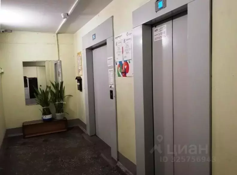 1-к кв. Санкт-Петербург Малая Балканская ул., 4К1 (37.5 м) - Фото 1