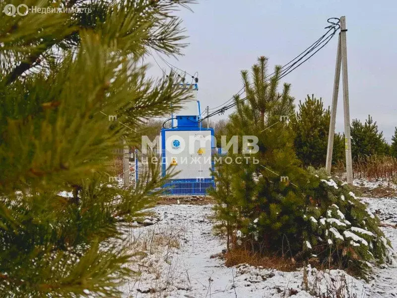 Участок в Тюменский муниципальный округ, Горьковское муниципальное ... - Фото 1