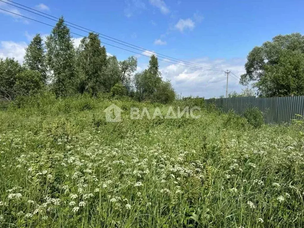 Участок в Нижегородская область, Богородский муниципальный округ, д. ... - Фото 1