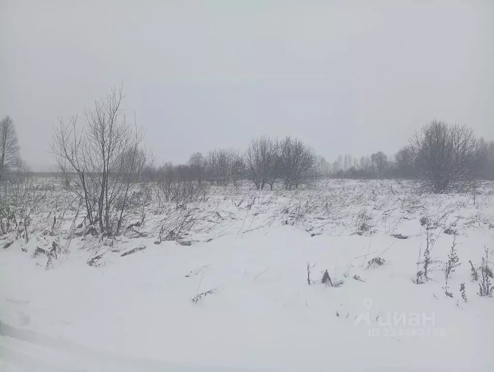 Участок в Вологодская область, Сокольский муниципальный округ, д. ... - Фото 2