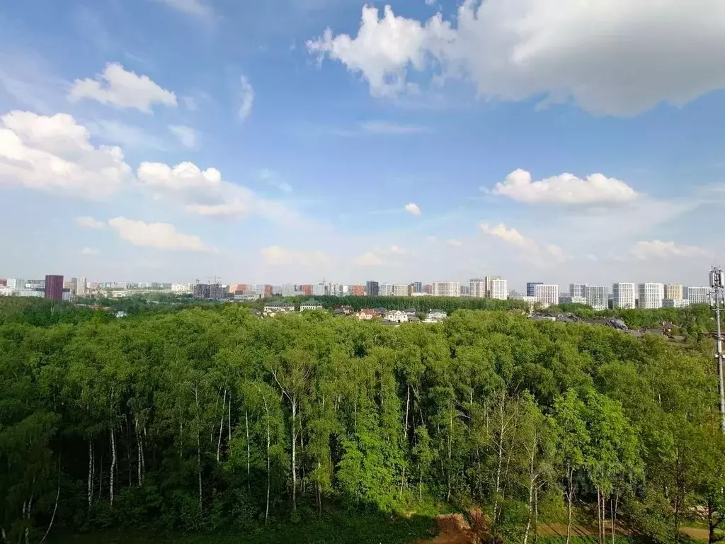 1-к кв. Москва Сосенское поселение, просп. Куприна, 30к1 (30.8 м) - Фото 1