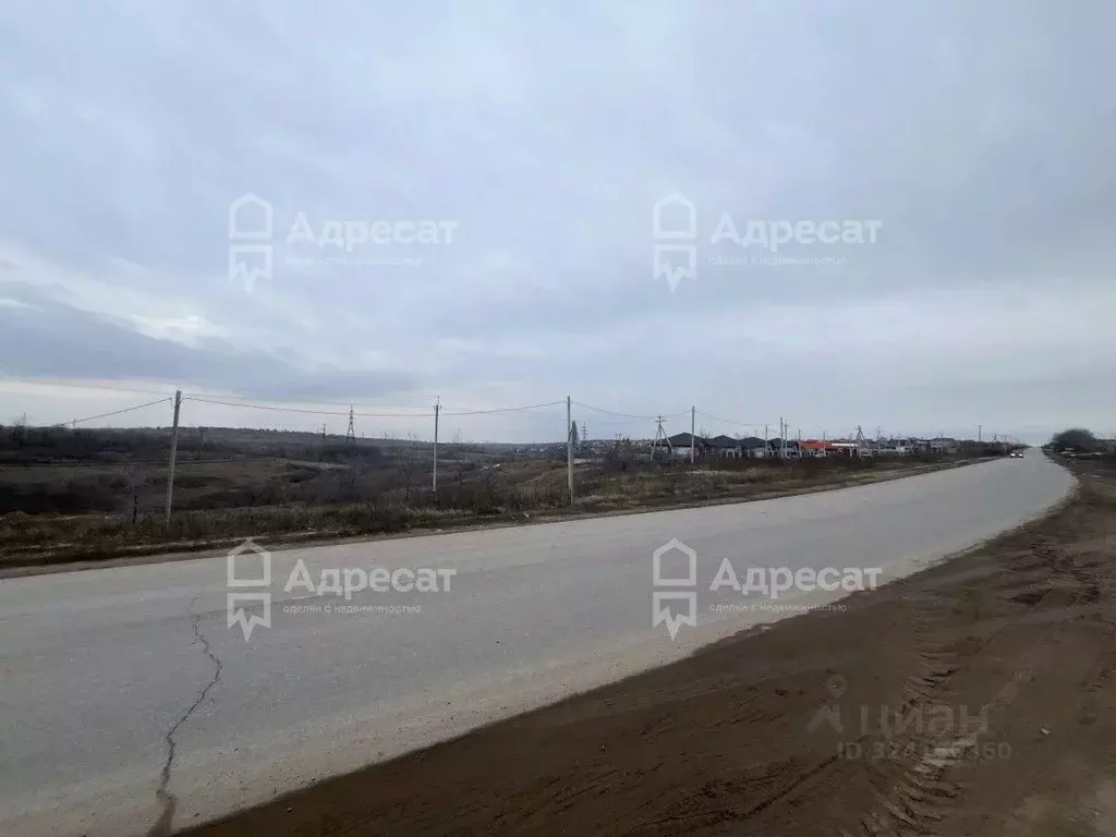 Участок в Волгоградская область, Городищенский район, Царицынское ... - Фото 2