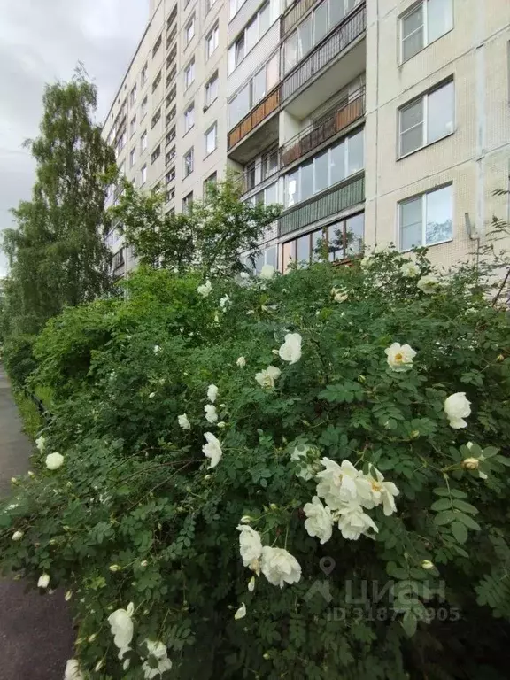 3-к кв. Санкт-Петербург просп. Просвещения, 46К2 (58.1 м) - Фото 0