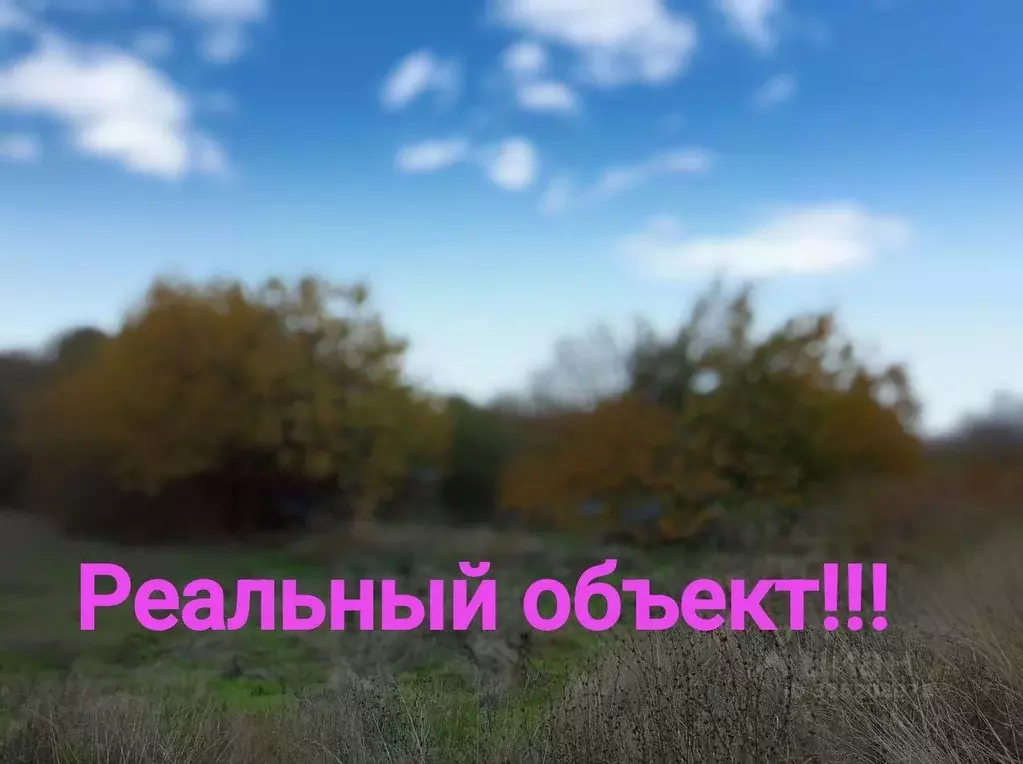 Участок в Ростовская область, Ростов-на-Дону Урожай садовое ... - Фото 1