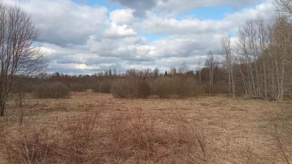 Участок в Тверская область, Калининский муниципальный округ, д. Малое ... - Фото 0