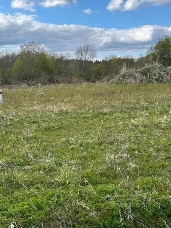 Участок в Ленинградская область, Выборгский район, Рощинское городское ... - Фото 0