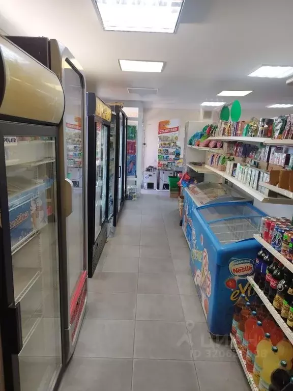 Торговая площадь в Крым, Ялта муниципальный округ, Виноградное пгт ш. ... - Фото 1