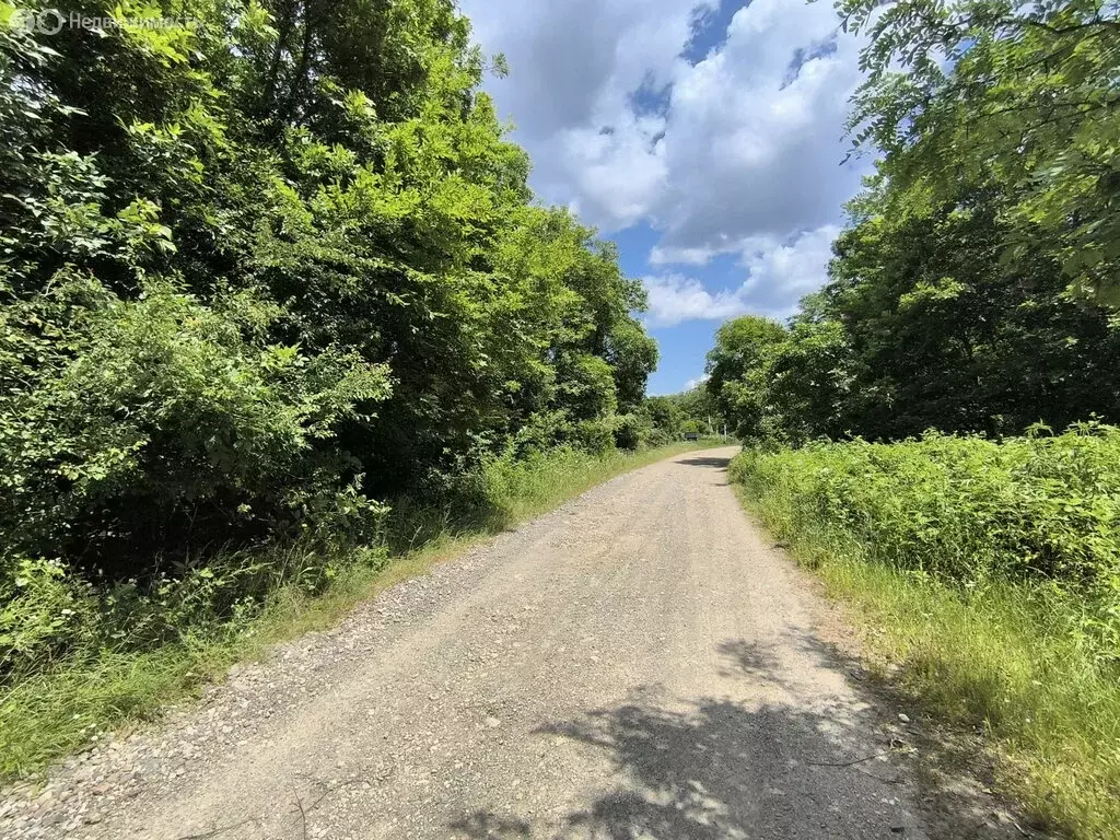 Участок в Черниговское сельское поселение, село Пригорное, Родниковая ... - Фото 1