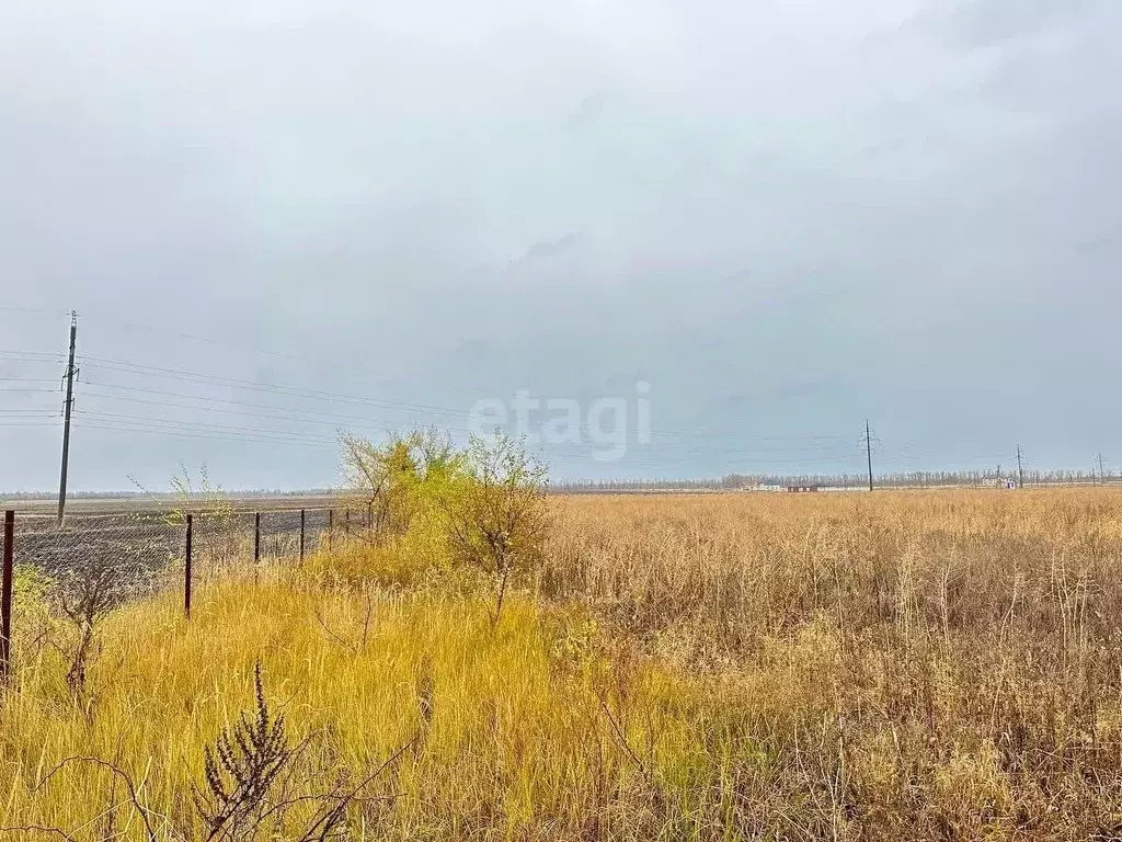 Участок в Воронежская область, с. Новая Усмань ул. Российская (10.0 ... - Фото 0