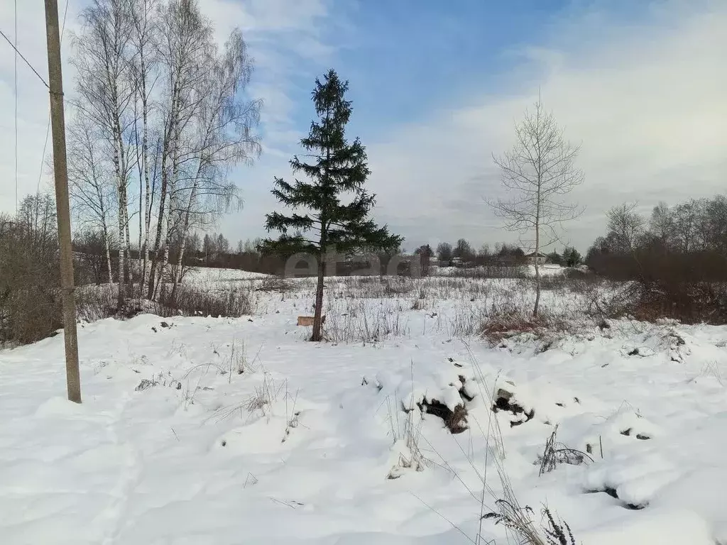 Участок в Псковская область, Островский район, Воронцовская волость, ... - Фото 1