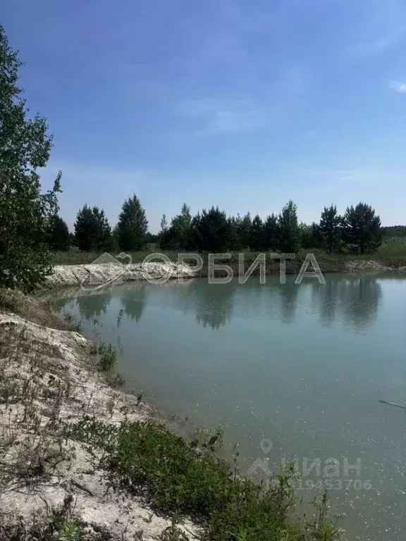 Участок в Тюменская область, Тюменский район, Новокаменский кп ул. ... - Фото 0