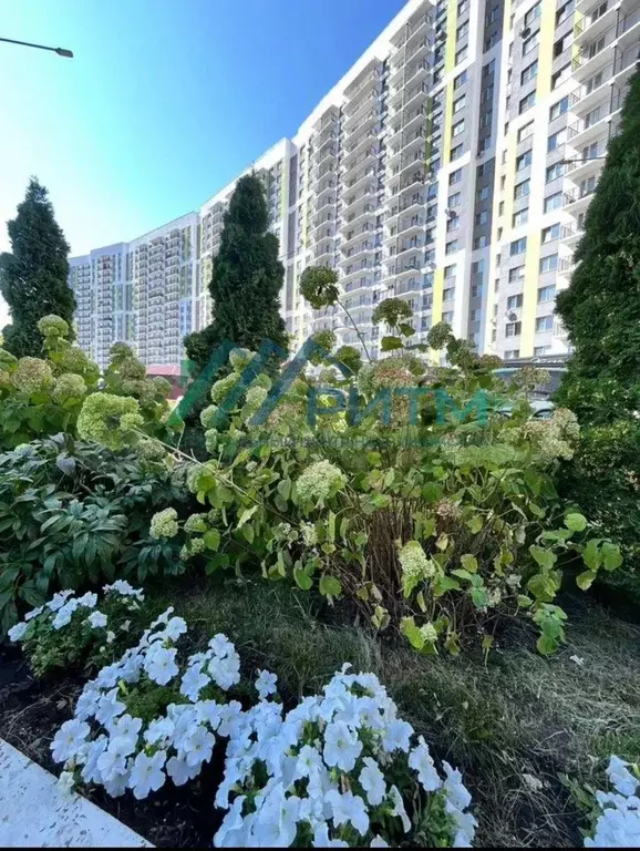 Продаётся квартира-студия, 25 м - Фото 0
