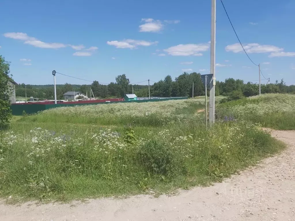 Участок в Владимирская область, Александровский район, Следневское ... - Фото 0