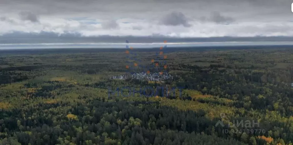 Участок в Москва Рубин СНТ, 129 (6.07 сот.) - Фото 1