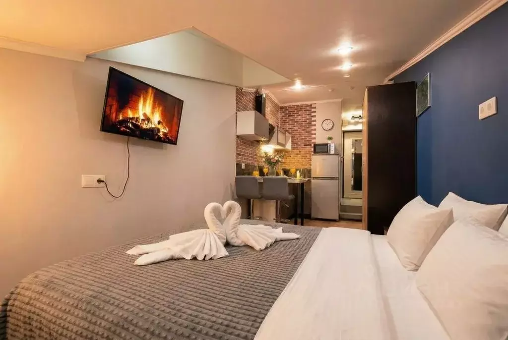 Студия Москва ул. Петра Романова, 7С1 (19.0 м) - Фото 1