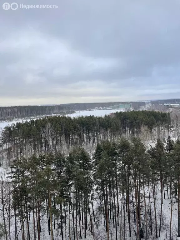 1-комнатная квартира: Екатеринбург, жилой район Уктус, микрорайон ... - Фото 1