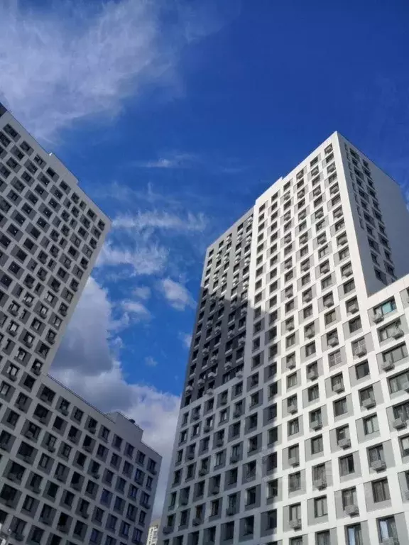 Студия Московская область, Люберцы ул. Солнечная, 6 (28.0 м) - Фото 1