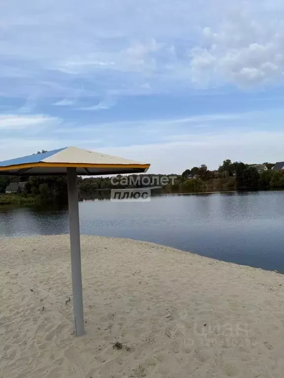 Участок в Брянская область, Жуковский муниципальный округ, с. Овстуг ... - Фото 1