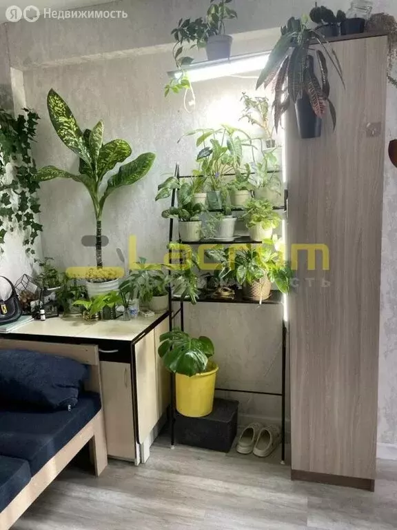 Квартира-студия: Красноярск, Ярыгинская набережная, 9 (27 м) - Фото 1