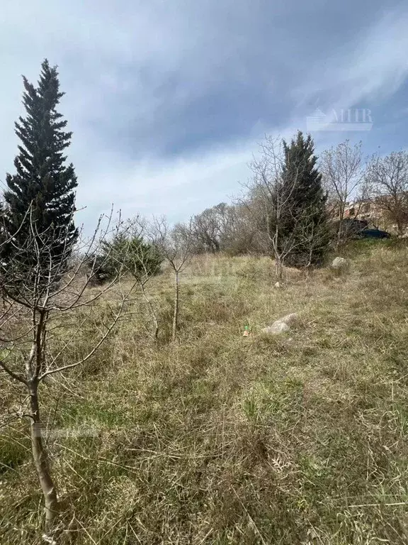 Участок 10 сот. (ИЖС) - Фото 1