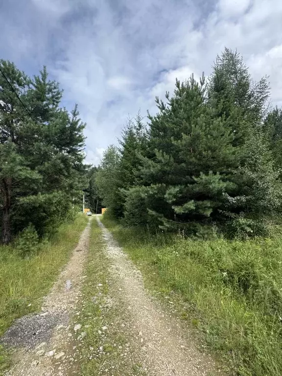 Участок в Калужская область, Малоярославецкий район, Маклино с/пос, д. ... - Фото 2